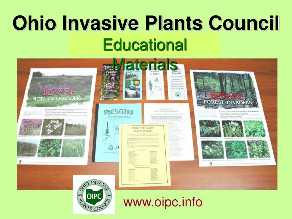 PPT Ohio Invasive Plants Council PowerPoint Presentation, free