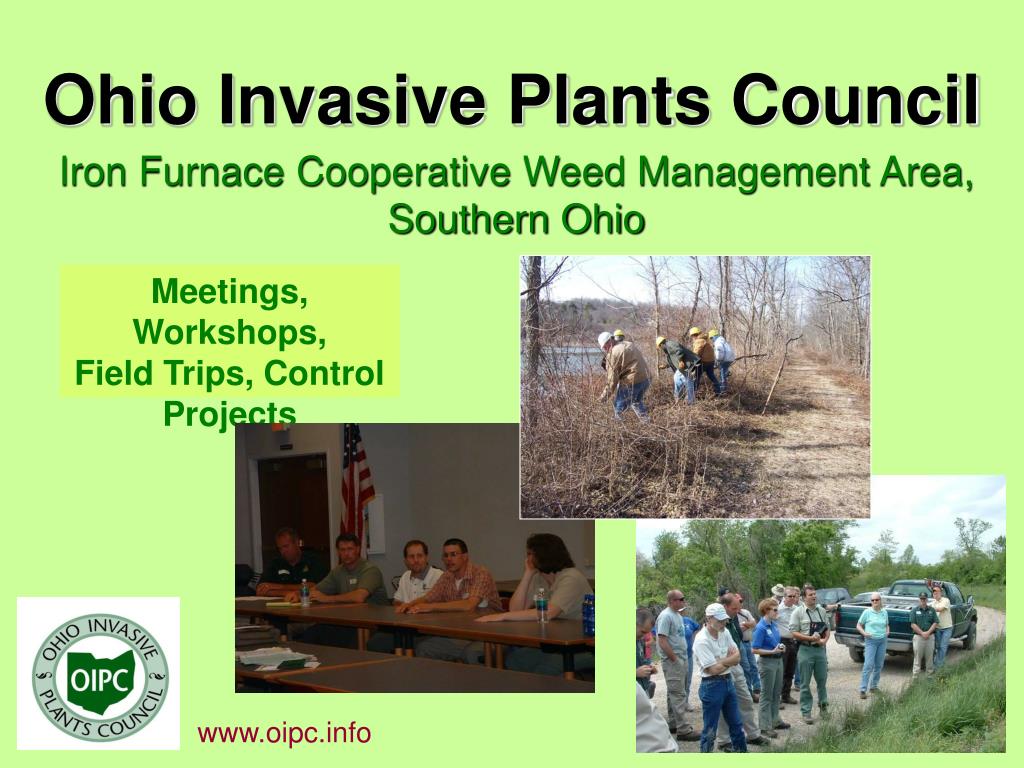 PPT Ohio Invasive Plants Council PowerPoint Presentation, free