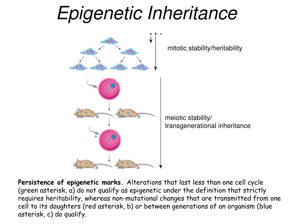 PPT Course Title PowerPoint Presentation, free download