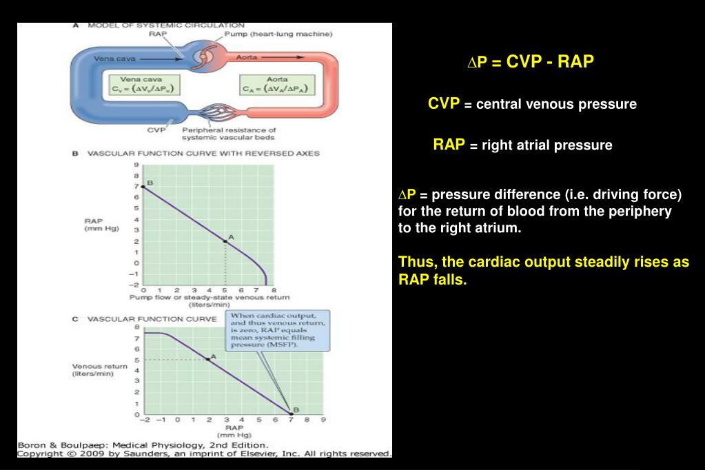 PPT BP = CO x TPR PowerPoint Presentation, free download ID4669485
