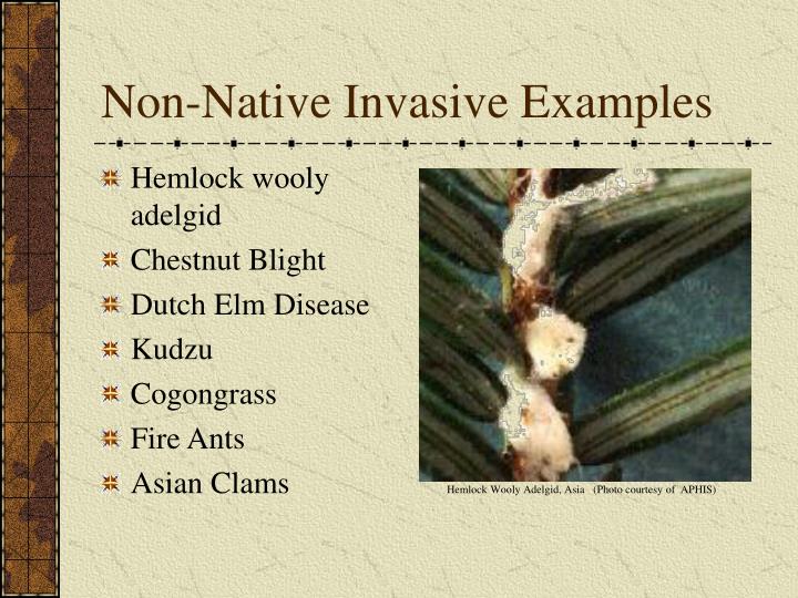PPT R8 Strategy for NonNative Invasive Species PowerPoint