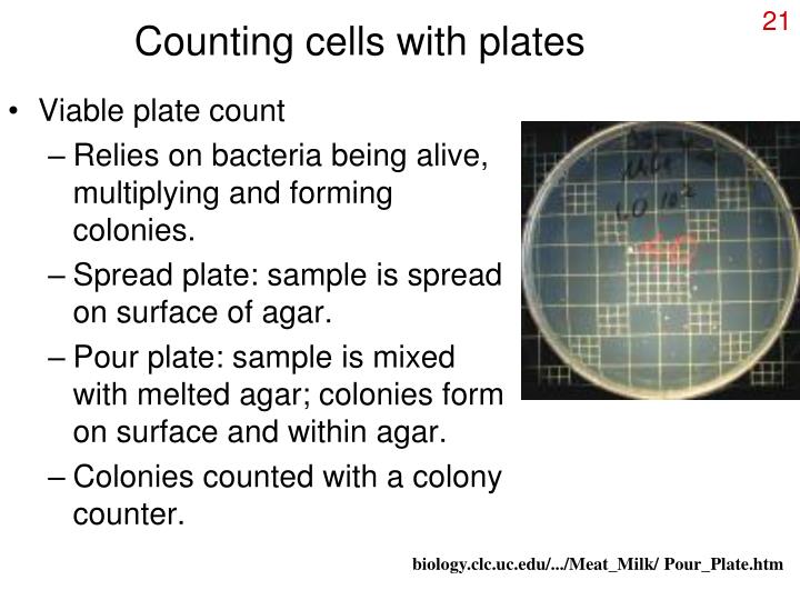 PPT Physical requirements for growth PowerPoint Presentation ID4670018