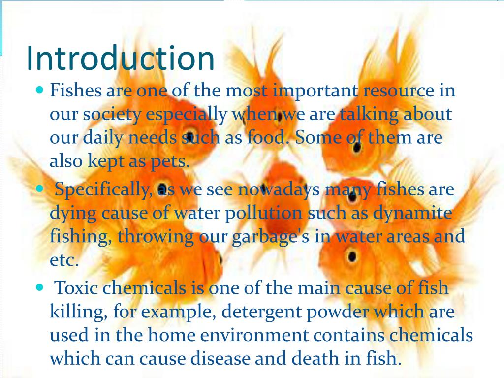 PPT Factors affecting the operculum movement of a fish PowerPoint