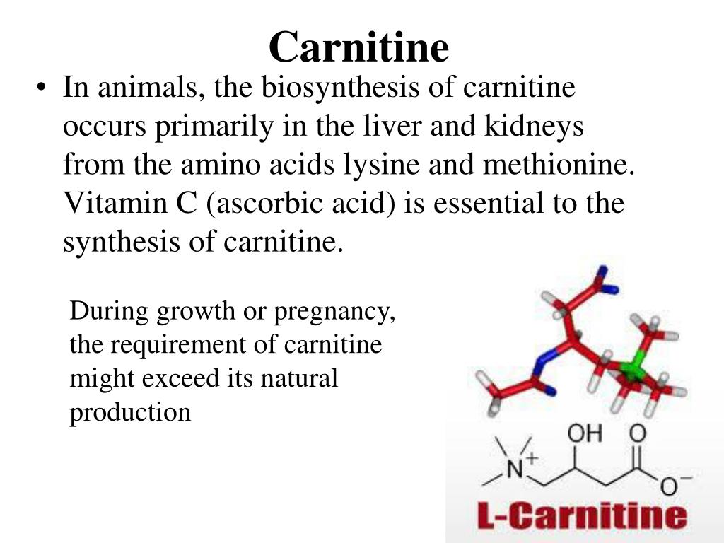 PPT Vitaminsimilar substances PowerPoint Presentation, free download
