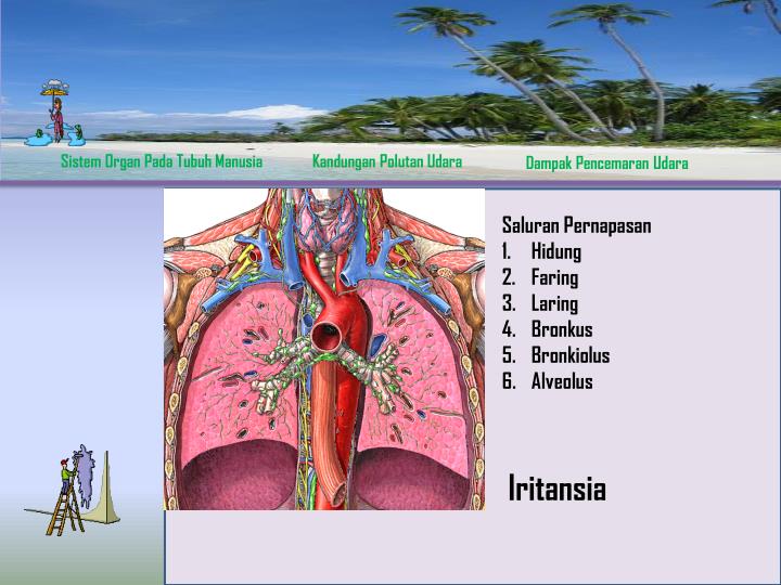 PPT DAMPAK PENCEMARAN UDARA BAGI KUALITAS KESEHATAN