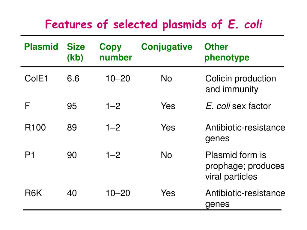 PPT Plasmids and Bacteriophages PowerPoint Presentation