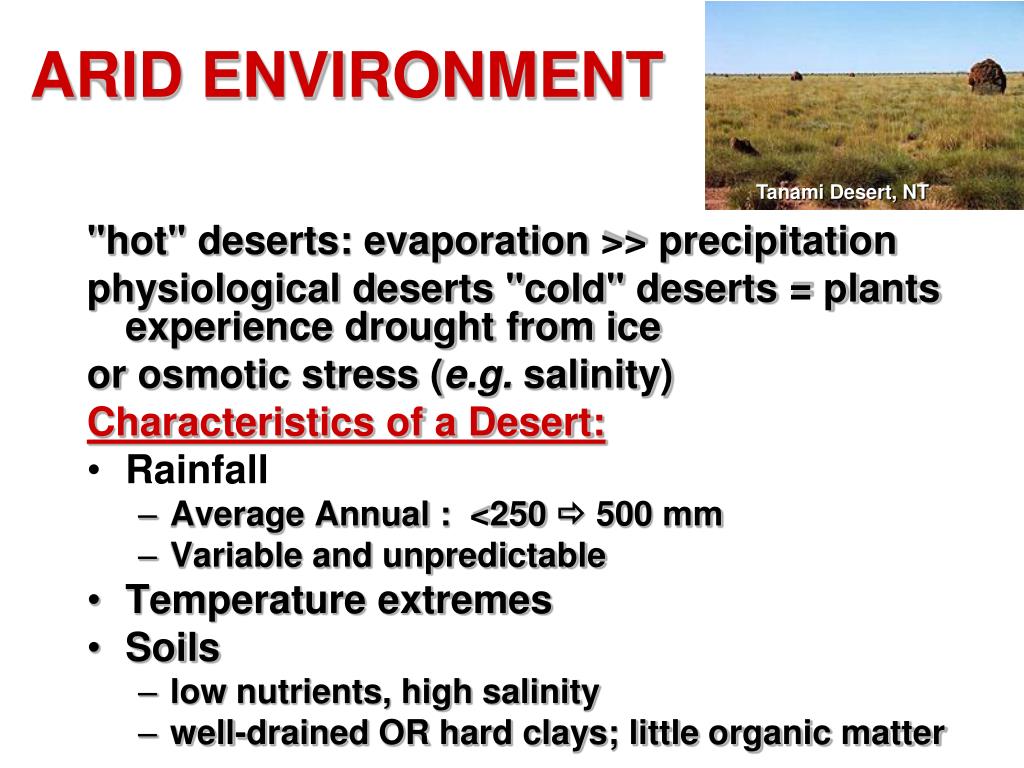 PPT THE ARID ZONE AND XERIC SHRUBLANDS PowerPoint Presentation, free