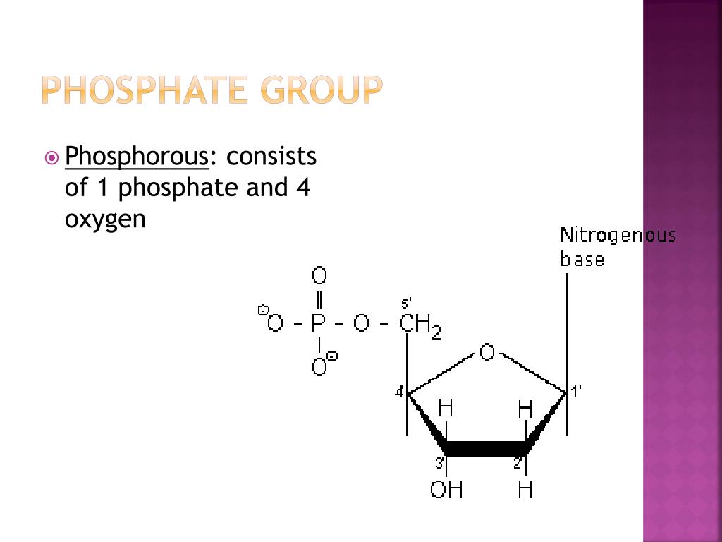 PPT DNA PowerPoint Presentation, free download ID4688998