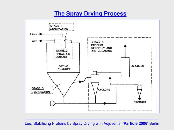 PPT Why spray dry a protein ? The spray drying process machines