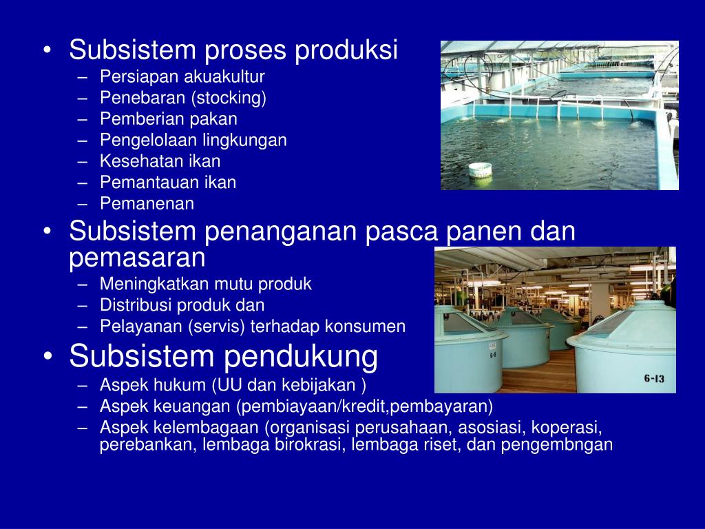 PPT PERIKANAN BUDIDAYA (AQUACULTURE) PowerPoint