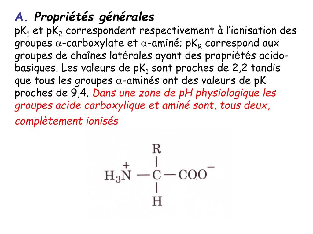 PPT Chapitre 4 Acides aminés Acides aminés des protéines