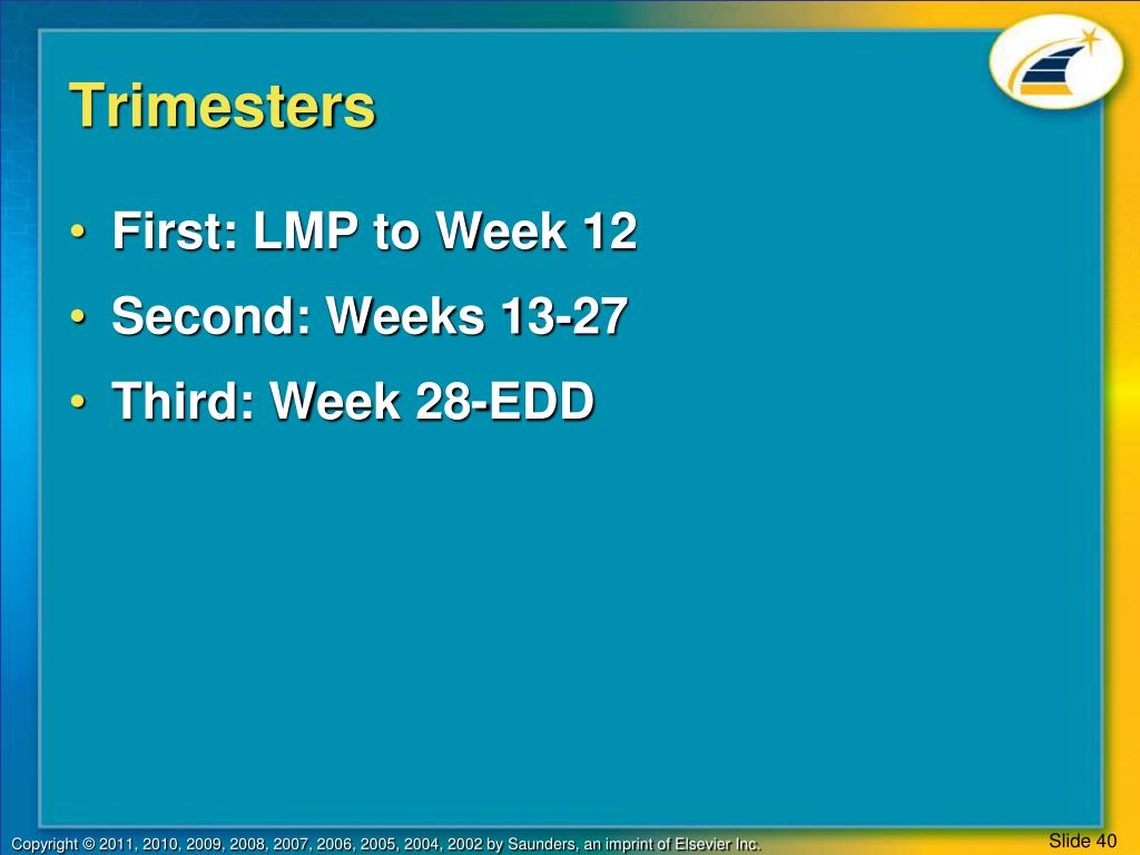 PPT CHAPTER 25 PowerPoint Presentation, free download ID4700673