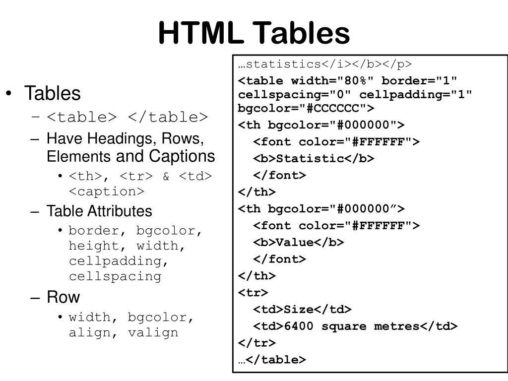 PPT Basic HTML PowerPoint Presentation, free download ID4701709