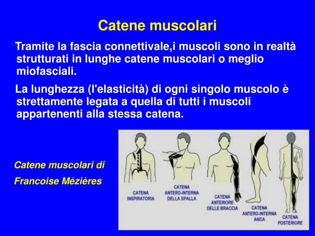 PPT Corso FIPE 2012 PowerPoint Presentation, free