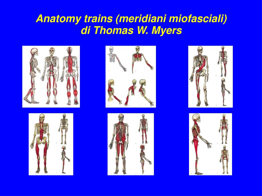 PPT Corso FIPE 2012 PowerPoint Presentation, free