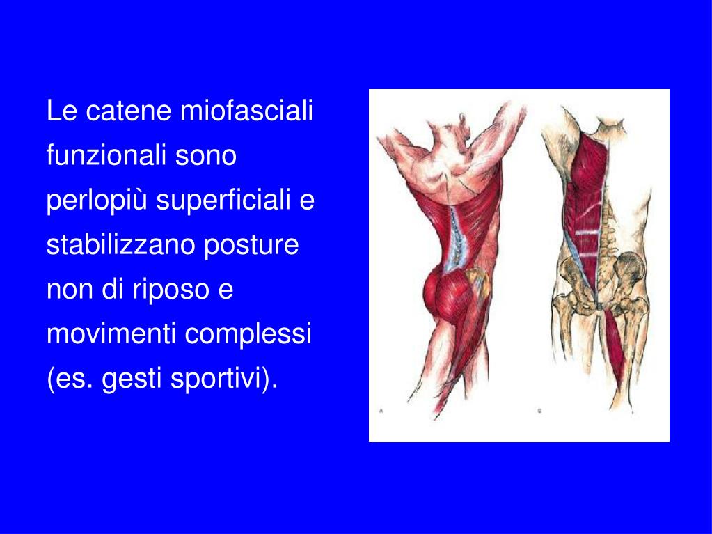PPT Corso FIPE 2012 PowerPoint Presentation, free