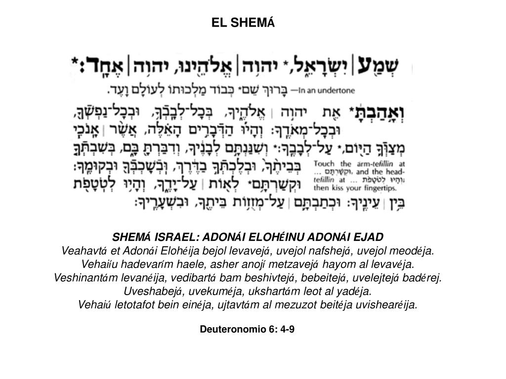 PPT EL SHEM Á PowerPoint Presentation, free download ID4704478