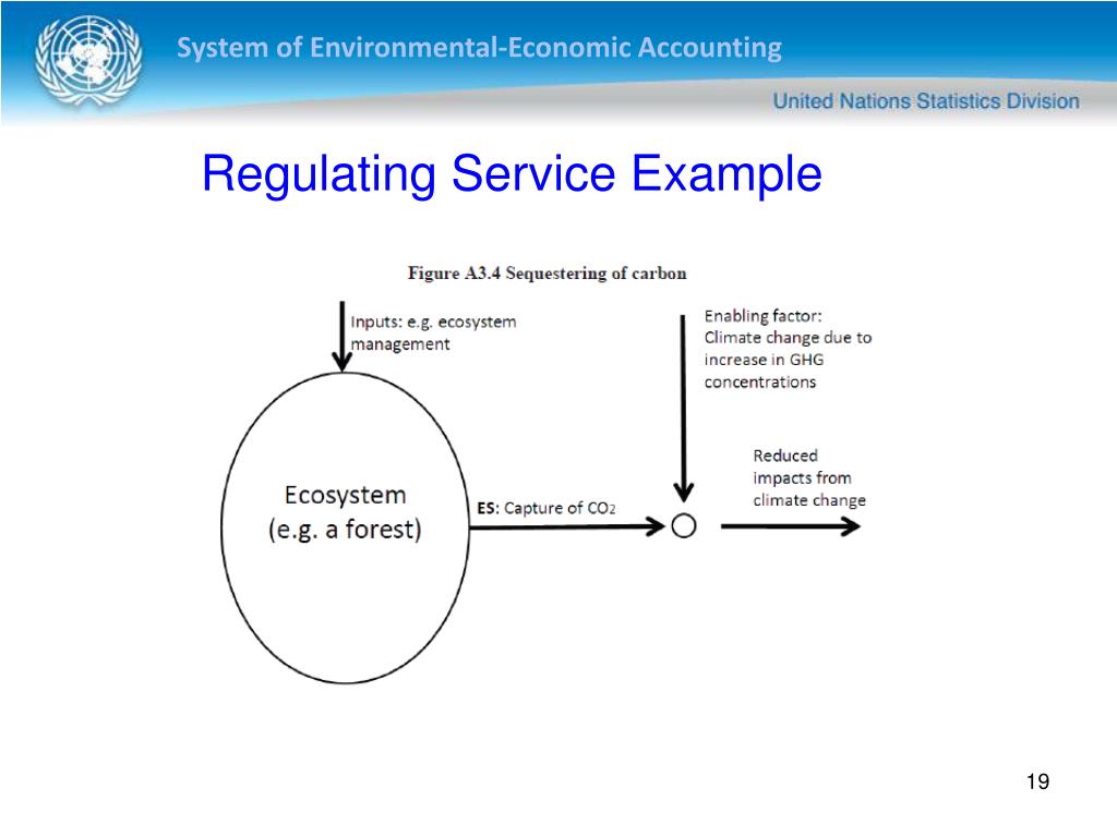 PPT Experimental Ecosystem Accounting (EEA) Introduction PowerPoint
