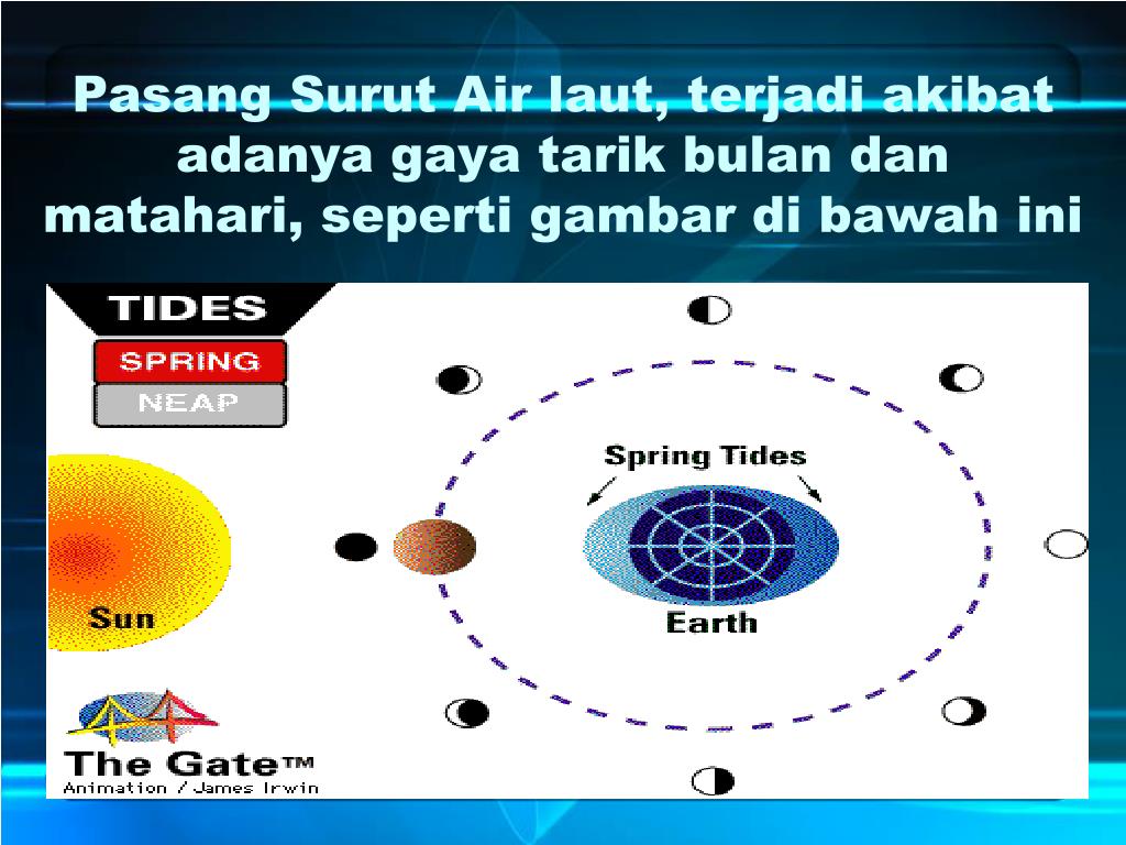 PPT PERAIRAN LAUT PowerPoint Presentation, free download ID4712196