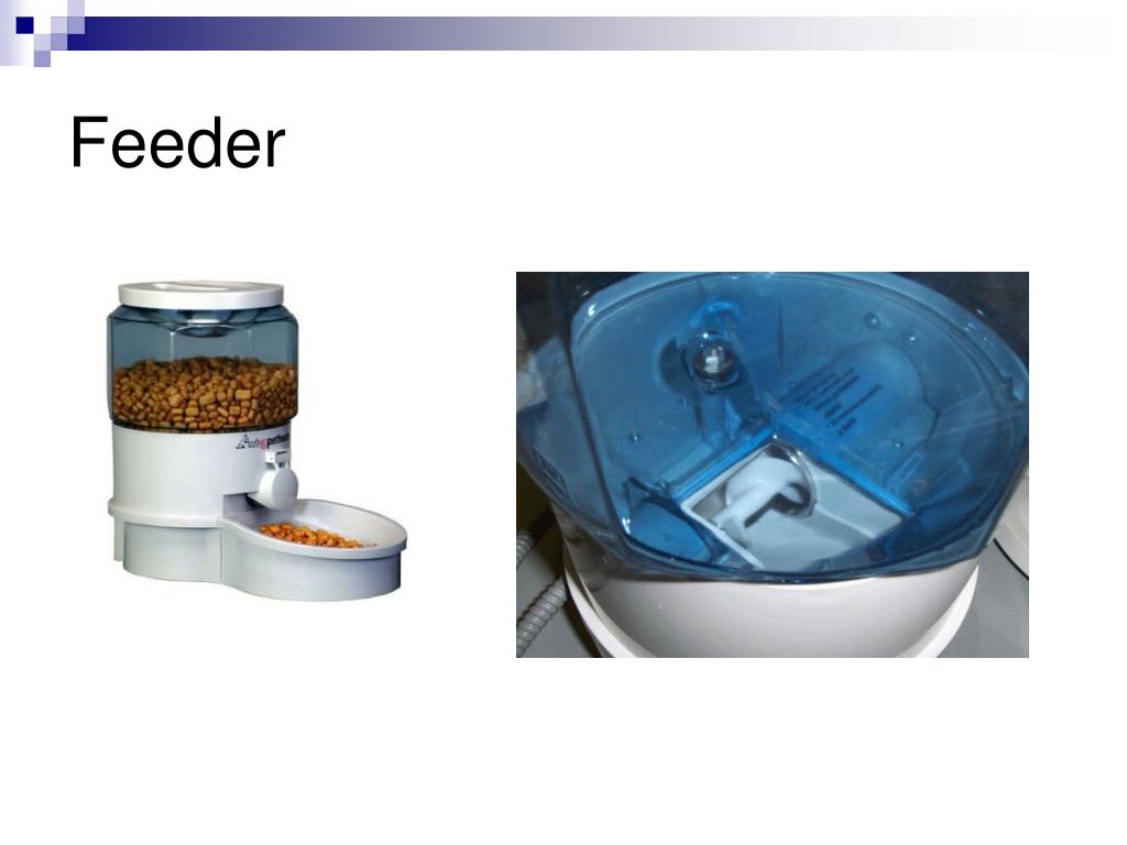 PPT Automatic Pet Feeder PowerPoint Presentation, free download ID