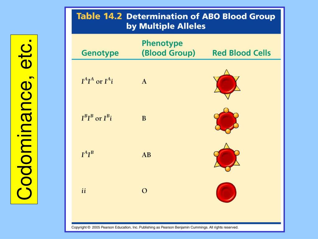 PPT Mendel & Ide tentang gen PowerPoint Presentation
