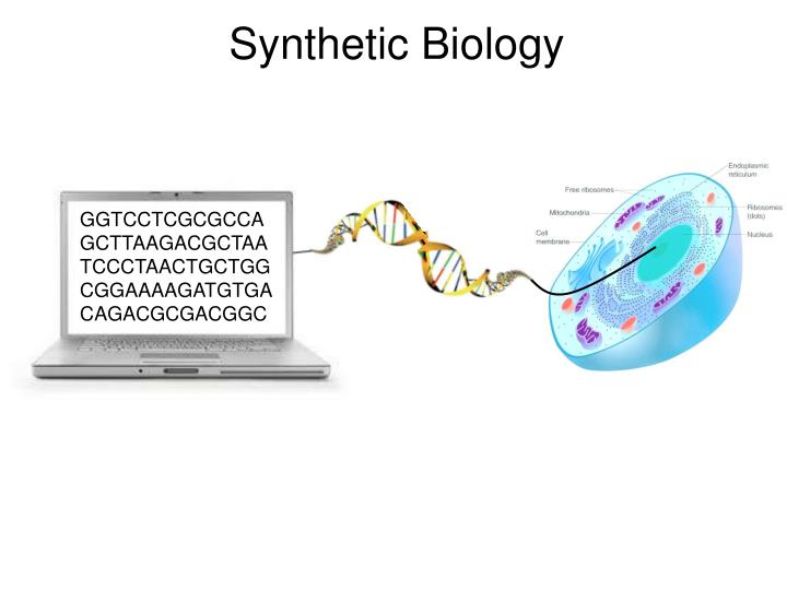 PPT Biotechnology Toolbox for Synthetic Biology PowerPoint