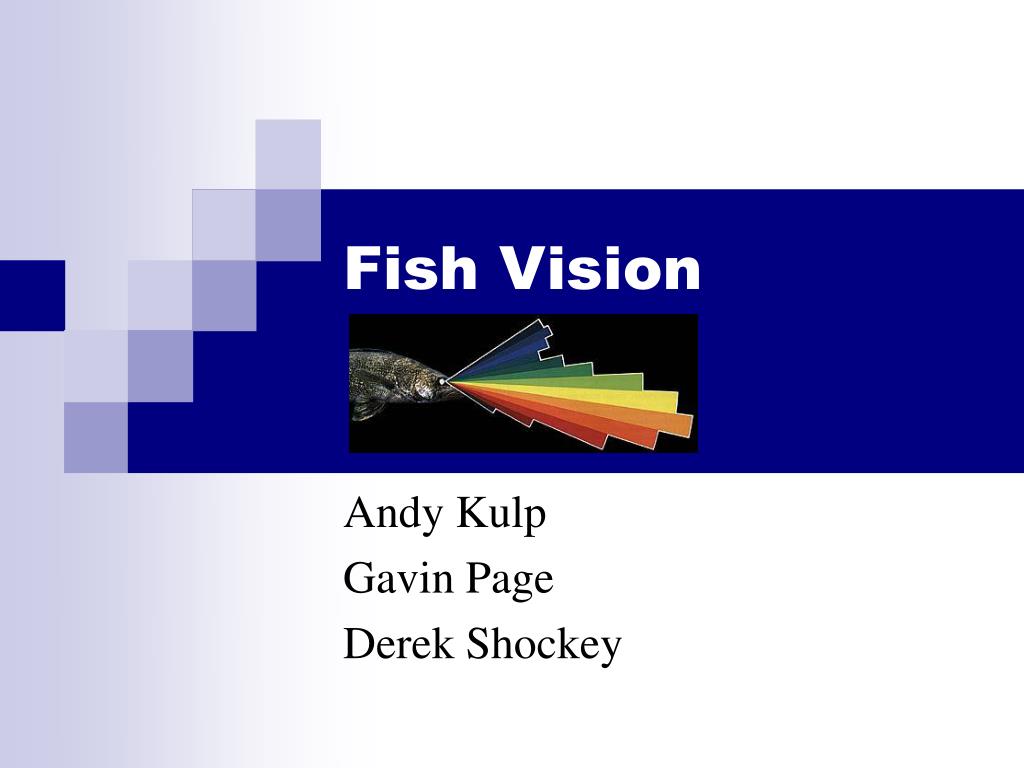 PPT Fish Vision PowerPoint Presentation, free download ID4718376