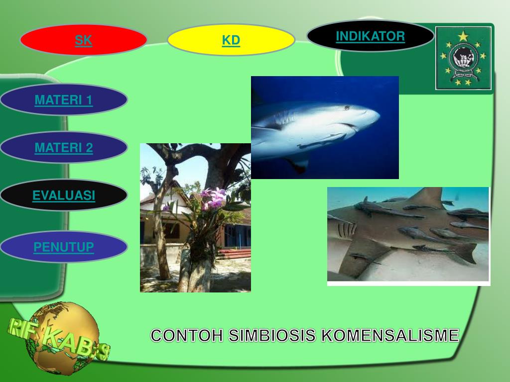 PPT HUBUNGAN ANTARA MAKHLUK HIDUP DENGAN LINGKUNGANNYA PowerPoint
