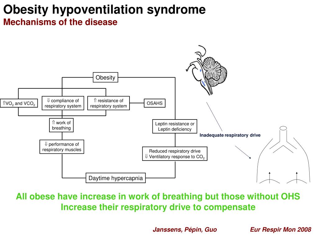 PPT Sleeprelated hypoventilation syndromes PowerPoint Presentation