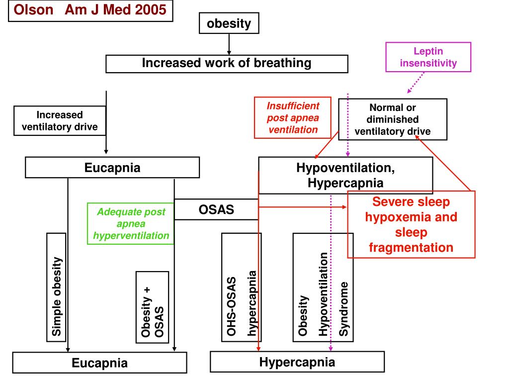 PPT Sleeprelated hypoventilation syndromes PowerPoint Presentation