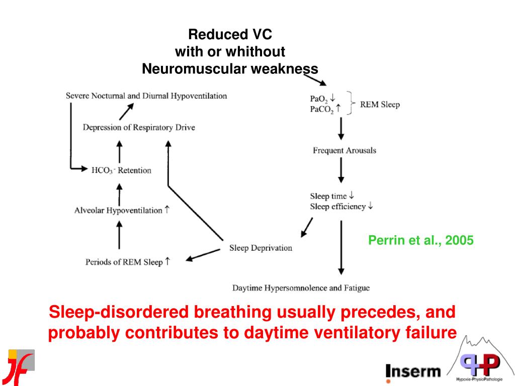 PPT Sleeprelated hypoventilation syndromes PowerPoint Presentation