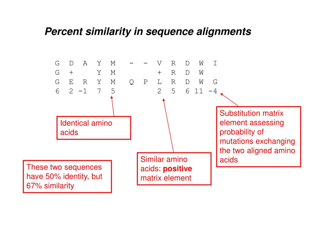 PPT Protein homology I Evolution and comparison of protein sequences