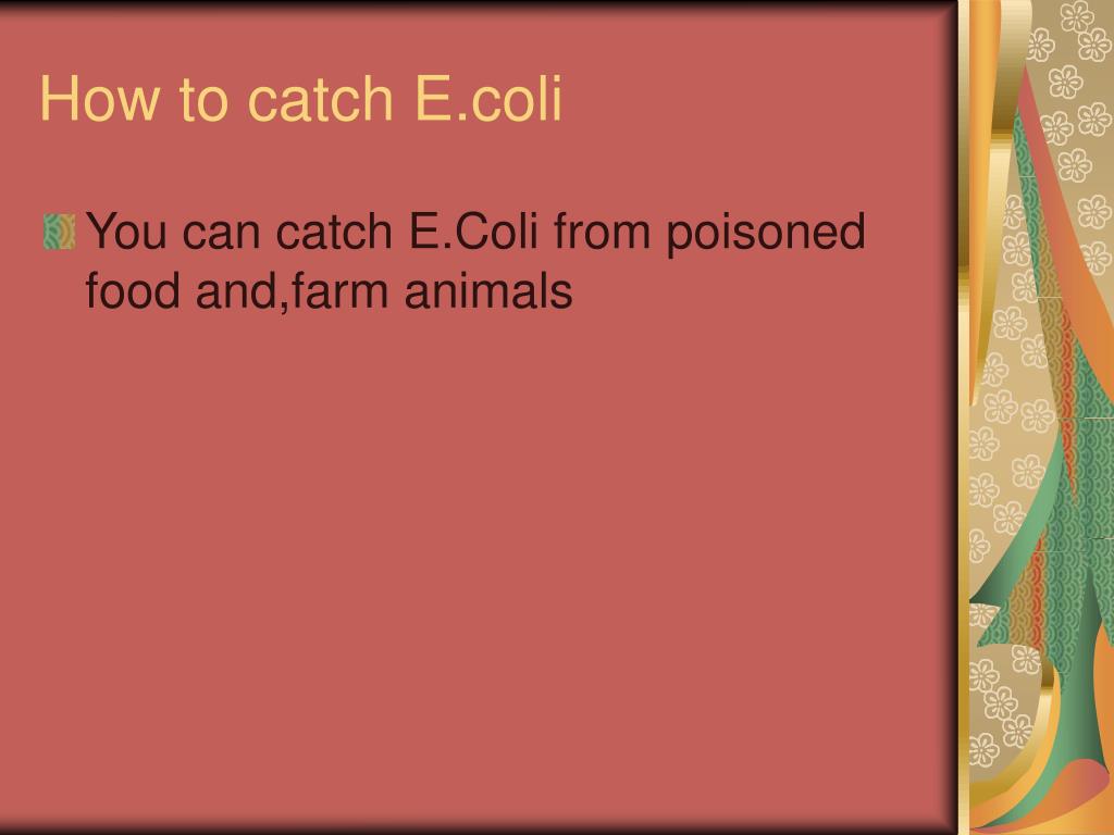 PPT E.Coli PowerPoint Presentation, free download ID4729206