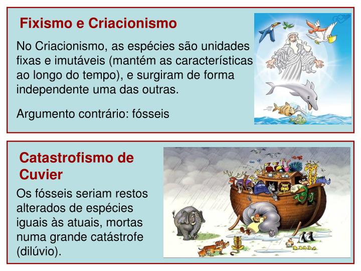 PPT EVOLUÇÃO DOS SERES VIVOS PowerPoint Presentation ID4729829