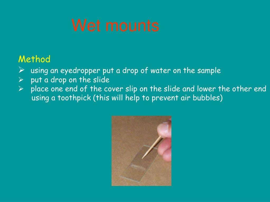 PPT Clinical Microbiology PowerPoint Presentation, free download ID4730195