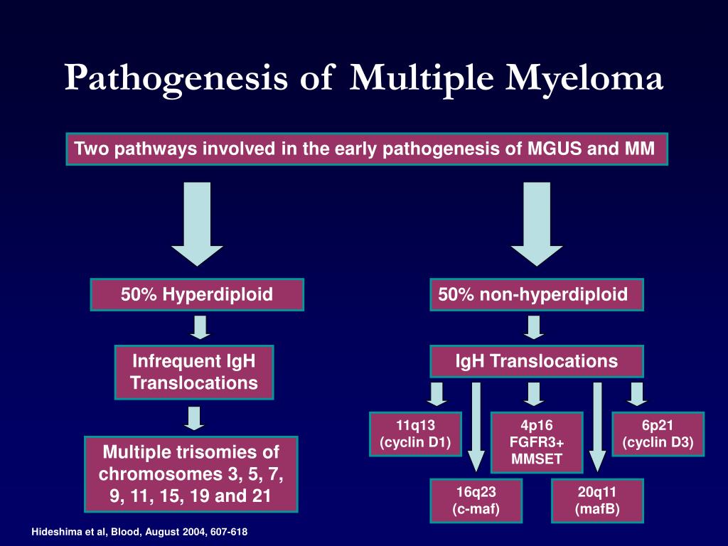 PPT Advances in Biology and Pathophysiology of Multiple Myeloma