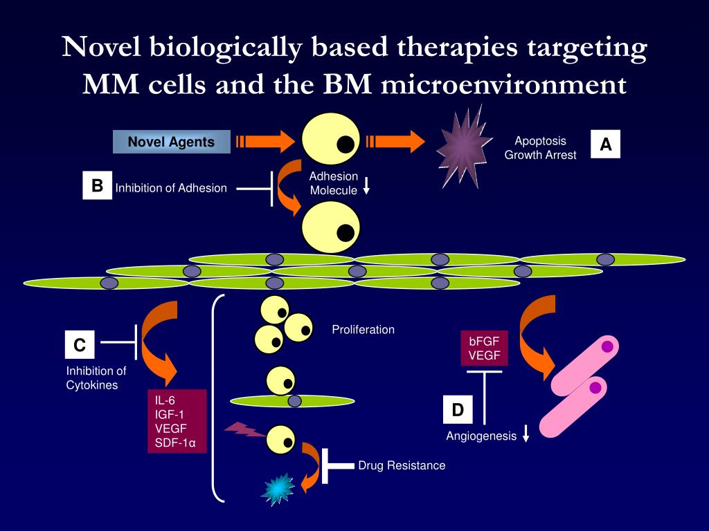 PPT Advances in Biology and Pathophysiology of Multiple Myeloma