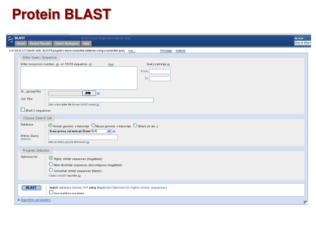 PPT BLAST PowerPoint Presentation, free download ID4734821