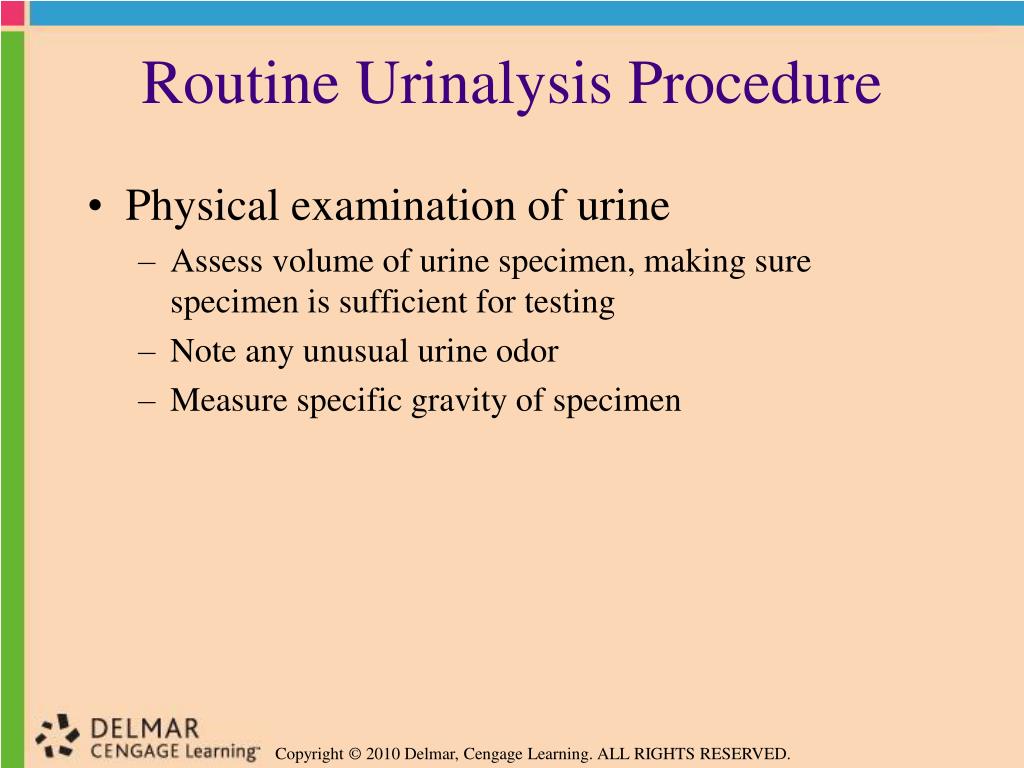 PPT Chapter 42 PowerPoint Presentation, free download ID4735009