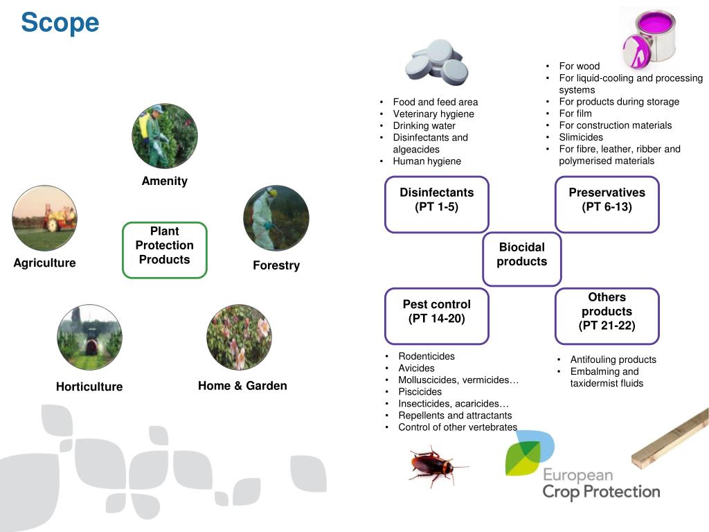 PPT Borderline between plant protection products and biocides with