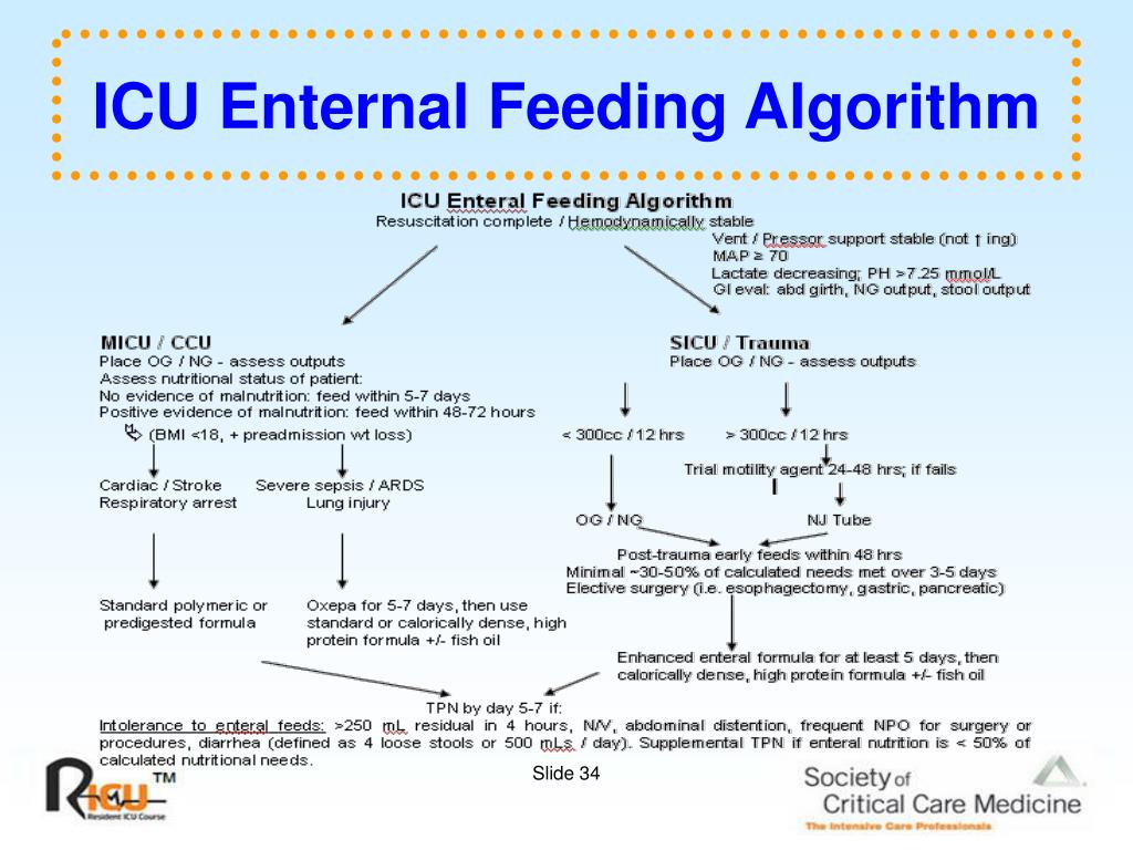 PPT Program Information PowerPoint Presentation, free download ID