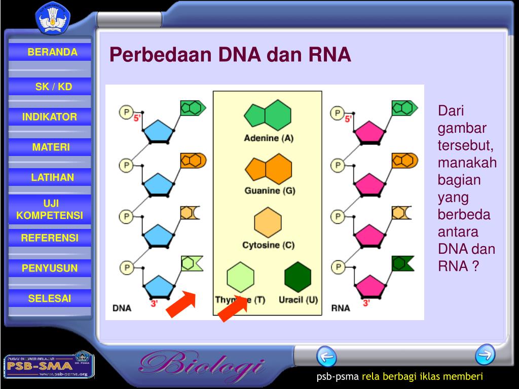 PPT Materi PowerPoint Presentation, free download ID4744579