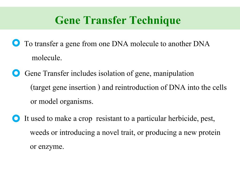 PPT Gene Transfer in Plants PowerPoint Presentation, free download