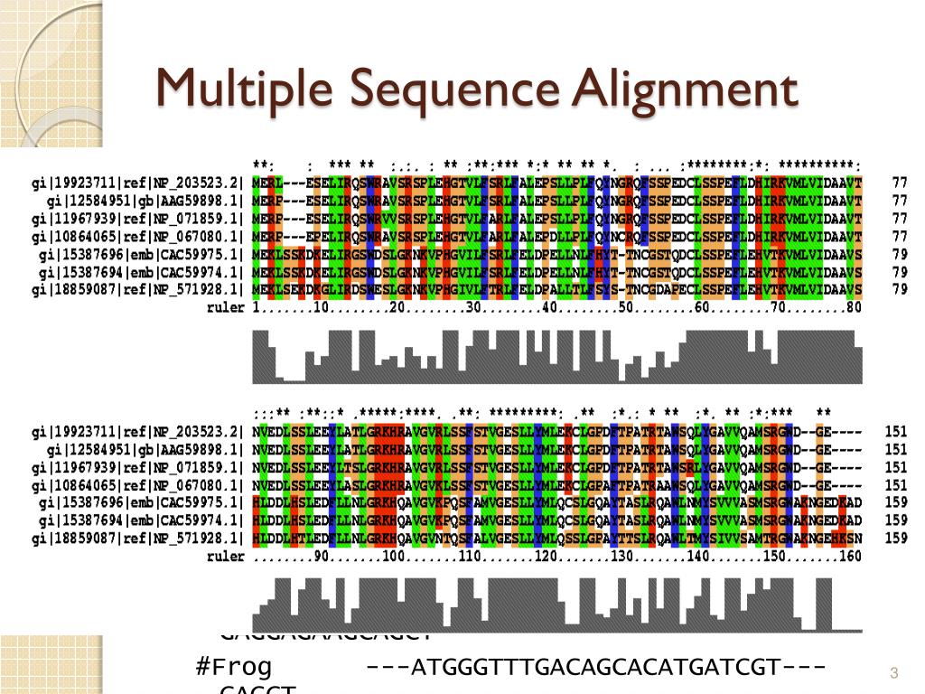 PPT CSCE555 Bioinformatics PowerPoint Presentation, free download