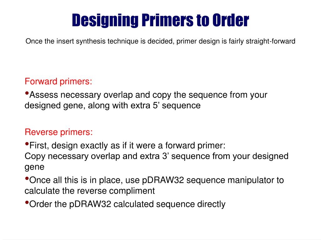 PPT Primer Design PowerPoint Presentation, free download ID4749803