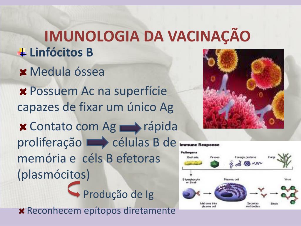 PPT VACINAÇÃO PowerPoint Presentation, free download ID4752192