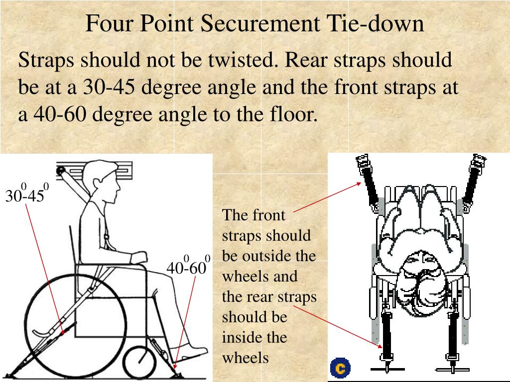 PPT Bus Safety Program PowerPoint Presentation, free download ID4752339