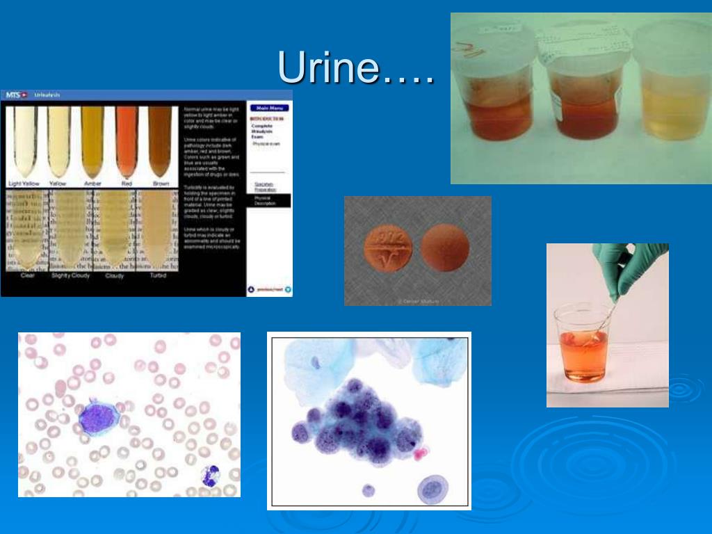 PPT Introduction PowerPoint Presentation, free download ID4764867