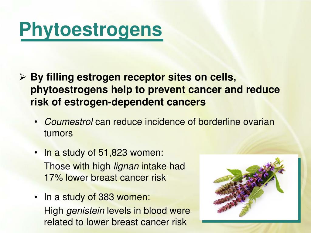 PPT Stages of Menopause PowerPoint Presentation, free download ID