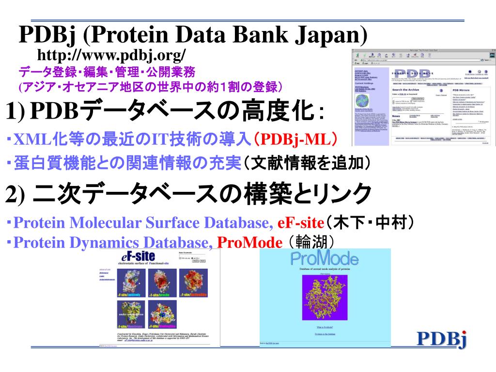 PPT 蛋白質立体構造データベースの高度化： PDBj ( Protein Data Bank japan ) PowerPoint